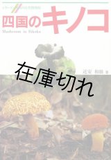 四国のキノコ　シリーズ四国の自然博物館