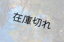 画像5: ＢＬＵＥ[Ｓ]　高橋宣之写真集